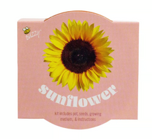 Load image into Gallery viewer, Buzzy Classic Terra Cotta Sunflower Grow Kit