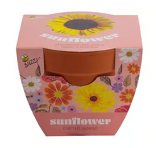 Load image into Gallery viewer, Buzzy Classic Terra Cotta Sunflower Grow Kit