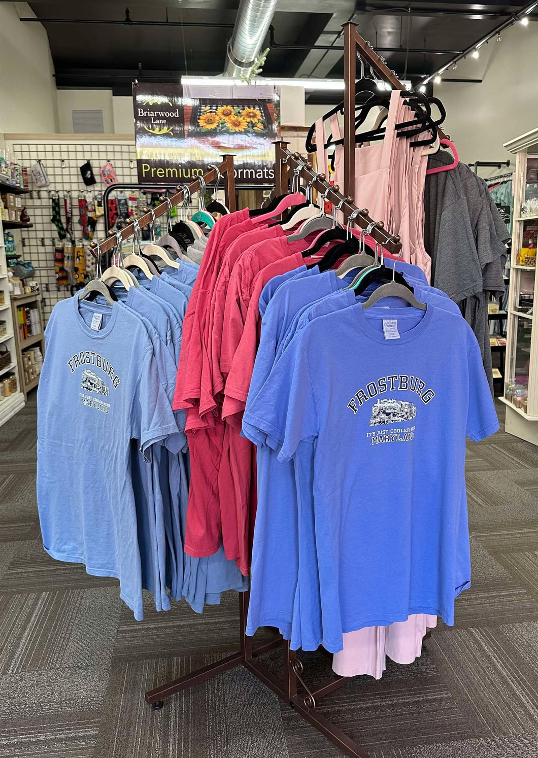 Frostburg Steam Engine Garment Dye Tee