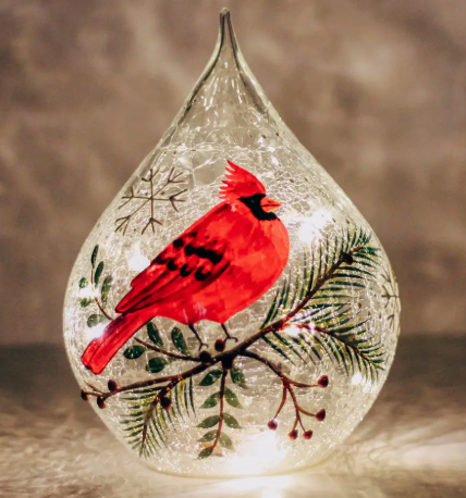 Cardinal Teardrop with Led String Lights