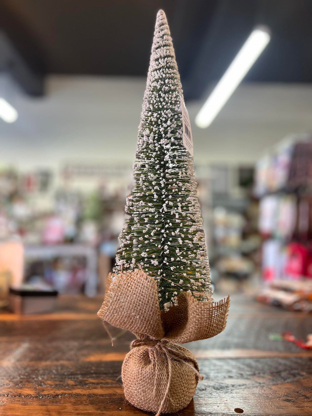 Snow Bottle Tree