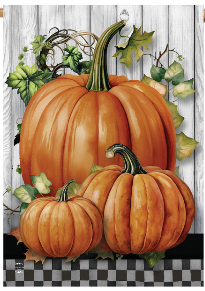 Country Pumpkins House Flag