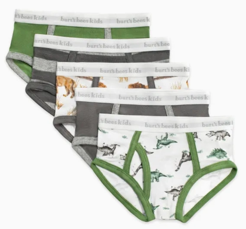 Boys Set of 5 Happy Herbivores & Lions Underwear