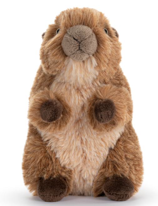 Beaver Beanbag