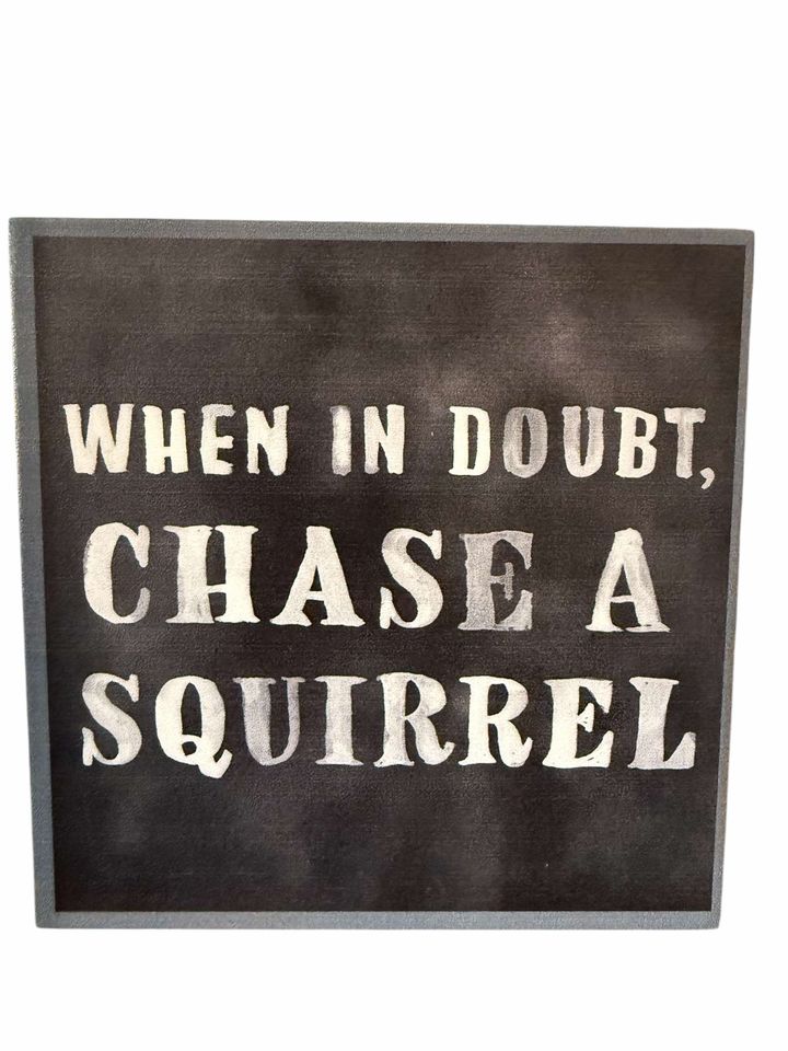 Chase a Squirrel Wall Art