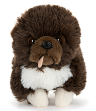 Load image into Gallery viewer, Chow Chow Mix Scruffy Beanbag
