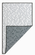 Load image into Gallery viewer, Clean Dirty Absorbent Reversible Towel - 18x30in
