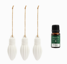 Load image into Gallery viewer, Light Bulb Mini Diffusers with Fragrance Oil
