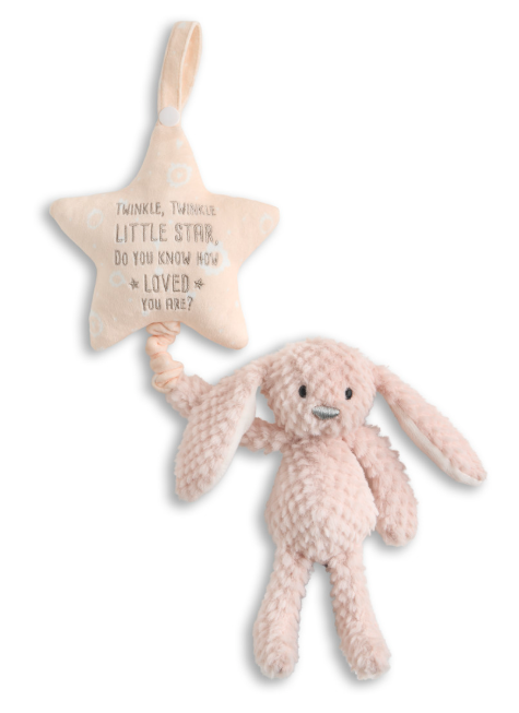 Musical Pull Toy | Bunny