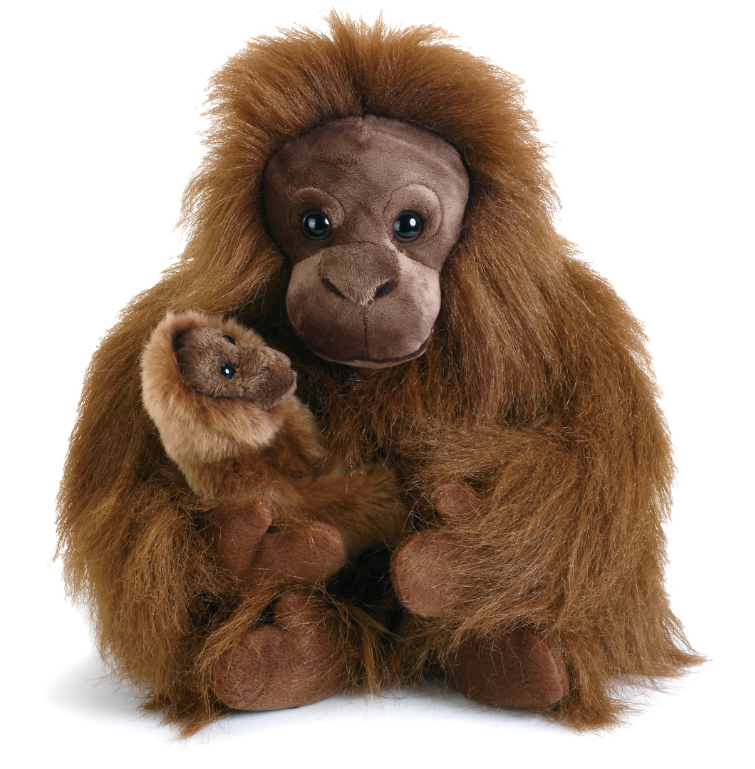 Orangutan Mom & Baby