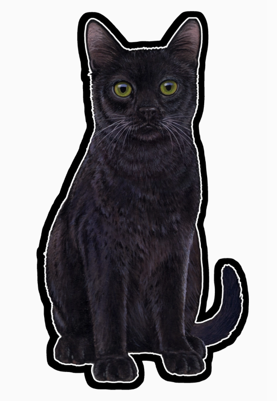 Black Cat - Vinyl Stickers
