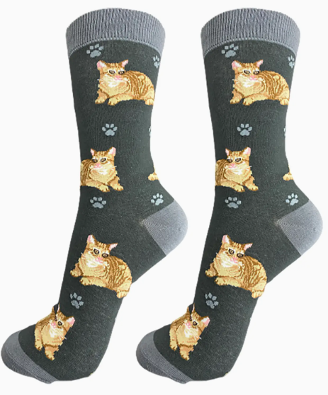 Orange Tabby Cat Socks