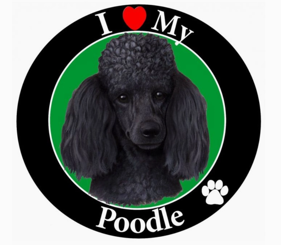 Poodle - Black Circle Magnet