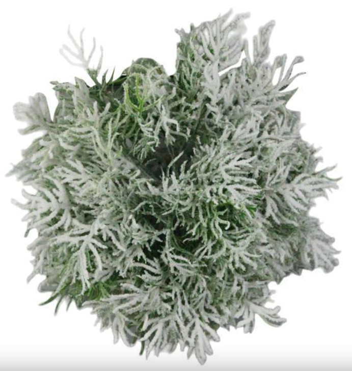 Fern Half Ball