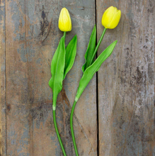Load image into Gallery viewer, Single Large Tulip Stems
