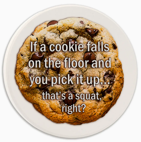 If A Cookie Falls Squat Round Car Coaster