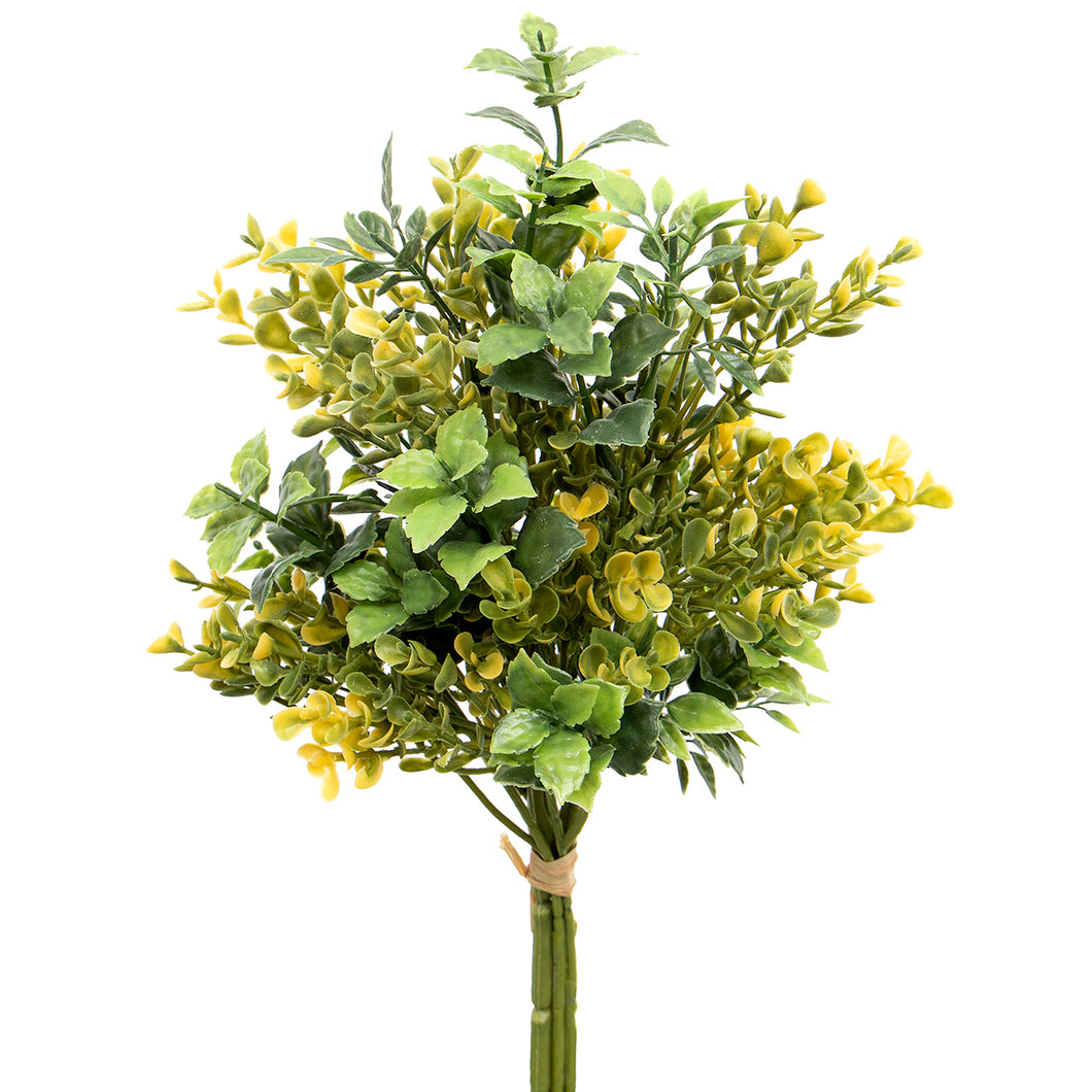 Boxwood With Yellow Blossom Greenery Bundle