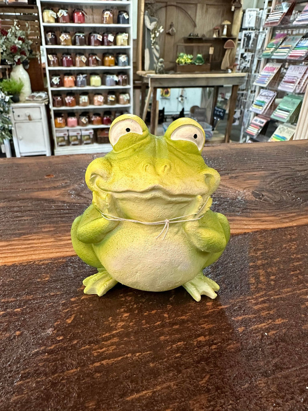 Whimsical Humorous Resin Frog