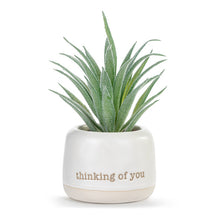 Load image into Gallery viewer, Thinking of You Just Because Mini Succulent
